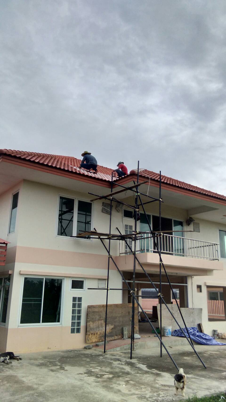 ผลงานของเรา